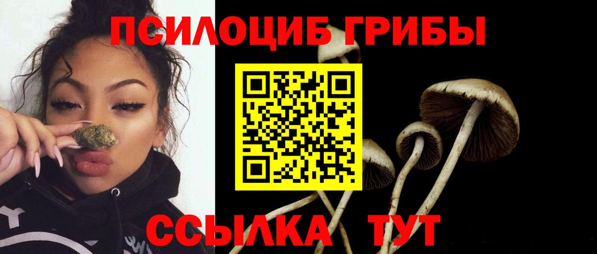 Добрянка  Псилоцибиновые грибы MAGIC MUSHROOMS  Вход с VPN 